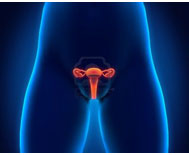 fisioterapia perineal & urológica